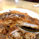 Curry & Hamburger Steak Yamato - カツのリフト