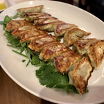 Kobe Gyoza Raku 2go Ten - 