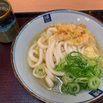 Yokoi Seimenjo Yokkaichi Hazu Ten - かけうどん