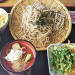 Kodaira no Sato Mamiana Tei - 狸穴定食そば冷1,100円（税込）