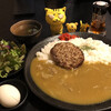 ナニワヤカレー - 手ごねハンバーグカレー900円　※昼だけ？ゆで玉子サービス