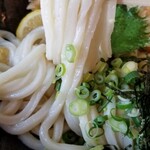 Udon Shikisai - 