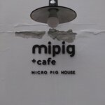 mipig cafe - 