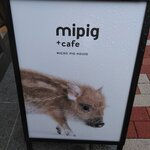 mipig cafe - 