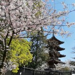 晴々飯店 - 上野東照宮の五重塔