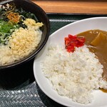 はなまるうどん - わかめうどんの小サイズ290円とカレーライス小サイズ250円