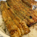 Unagi Kubota - 