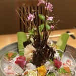 Sushi Hasegawa Shinsaibashi Honten - 