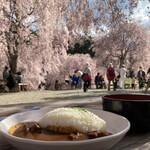 Takami no Sato Tenkuu Chaya - 桜の下で