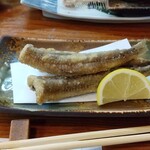 銀河食堂 - メギス