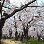 上ノ国町物産センター - 五稜郭