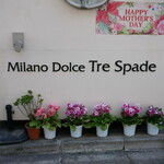 Milano Dolce Tre Spade - 