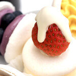 Korean Macaroon Senmonten noncaron - 