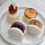 Korean Macaroon Senmonten noncaron - 