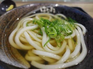 Hanamaru Udon Ion Sapporo Motomachi Ten - 