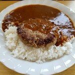 Curry & Hamburger Steak Yamato - ハンバーグカレー（普通）