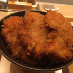 TARE-KATSU Shinsaibashi Ten - ・カツ丼