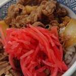 Yoshinoya Sapporoekiapiaten - 