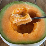 Fukuda Melon - 