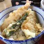 Sagami Nisshin Ten - ミニ天丼