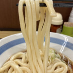 Dondon An Piago Hirabari Ten - 麺、出汁吸ってるよ！