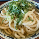 Marugame Seimen Nakano Sentoraru Paku Ten - 