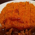 Curry House CoCo Ichibanya Higashikurume Sachimachi Ten - 