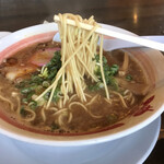 Shin Wakayama Ramen Bari Uma Iwade Ten - 麺は細麺ストレート。