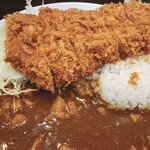 Tonkatsu Aoki no Curry Ya Ippekoppe Nishi Shinjuku Ten - 