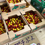 Fureai Farm Takada Batake - 