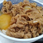 Yoshinoya Nashishichichiten - 