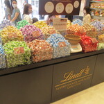 Lindt Chocolat Boutique & Cafe Shisui Puremiamu Aotoretto Ten - 