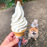 平泉寺のソフトクリーム屋さん - 