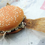 Domdom Hamburger Haraoshimafcten - 