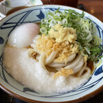 Marugame Seimen Chiba Kasori Ten - とろ玉の並