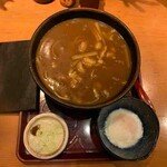 Kaguraya Akihabara Ten - カレー南蛮＋温玉