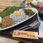 L.grow+ - 