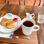 ELEVENSES TEA ROOMS - 