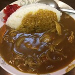 Shoryu - 見た目から美味しそうなカレーライス