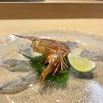 Sushi Toku - 