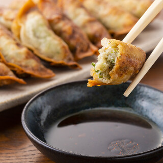 Specially hand-wrapped Gyoza / Dumpling