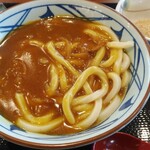 Marugame Seimen Toyama Gofuku Ten - カレーうどん並