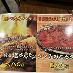 Taishu Horumon Yakiniku Kemuriki Higashi Okazaki Eki Mae Ten - 