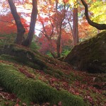 CLUB HARIE Yaoichi No Mori - 白洲正子さんが愛した教林坊です