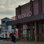 Little Mermaid Tsutaya Wajiro Ten - 