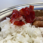 Curry no Chikara Koyodai Ten - 