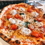 IL PIZZAIOLO - 