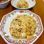 Gyoza no Osho Wakayama Horidome Ten - 炒飯普通とジャストサイズ