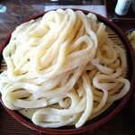 千代屋 - うどん近景。太くてゴワゴワな武蔵野系うどん。