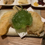 Ishigama Pizza to Washoku to Sake Soru - 